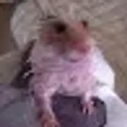 BibaBobik