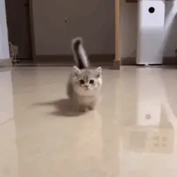 Креветочка