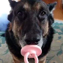 ssssooska