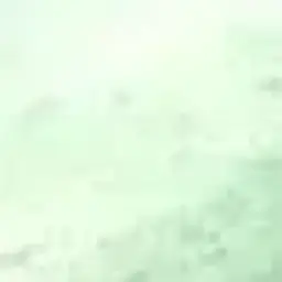 Некотин