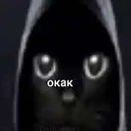 scien