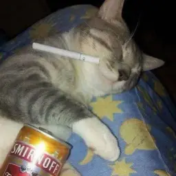 lalalak_007