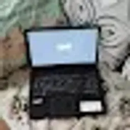 cackemcthecatpro