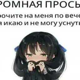 Xindy