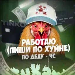 novs86