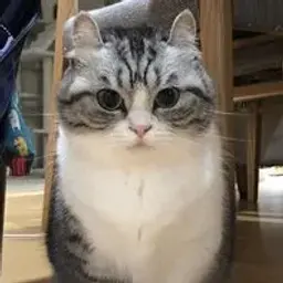Бананчики