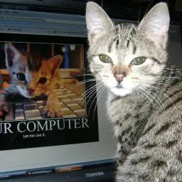 Фунт