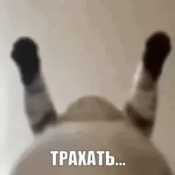 КРИПкрипочек
