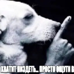 Ascad3