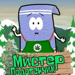 MrTowel