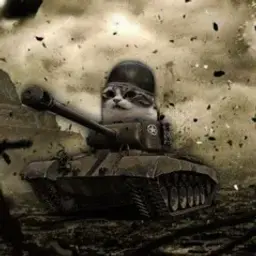 Findsvo