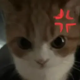 HAMI