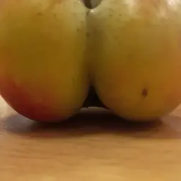 popapisa