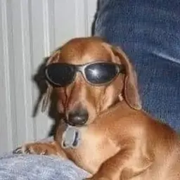 blind