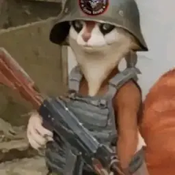 whereyourheadat