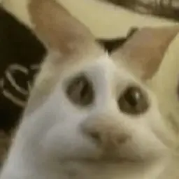 синепопик