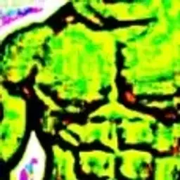 Survivor31