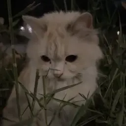 Одержим