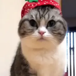 дефектный