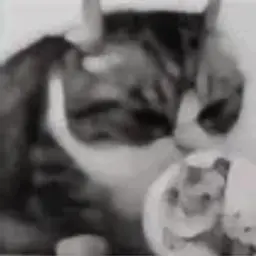 Фугу