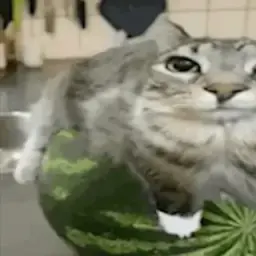 kklone9