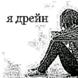 fvolkov1