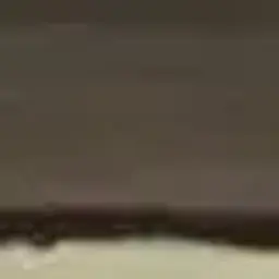 welroK_reyman