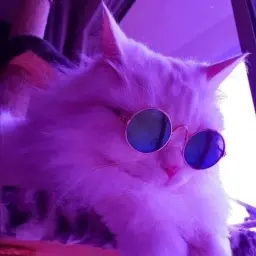 kappaPride