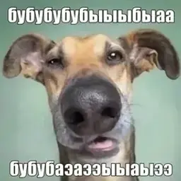 balencapeek