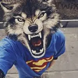 Ghgfghgfghh