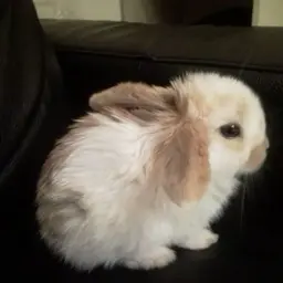 non