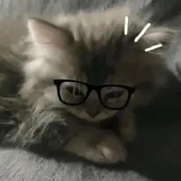 komiuiq