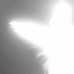 RikiFH
