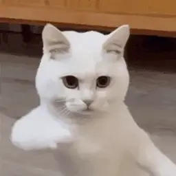 MikiFox
