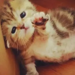 Одержим