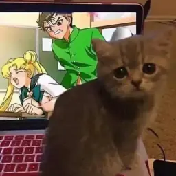 otaku