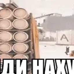 огузок