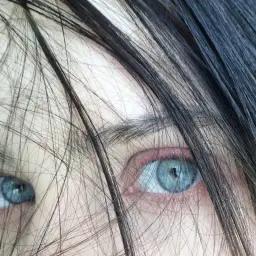 asdwsd