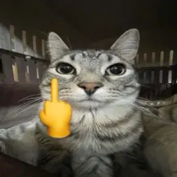 percent