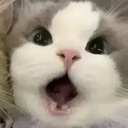 luv