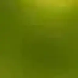 asex_2000