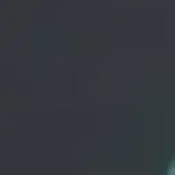 BullyJhin