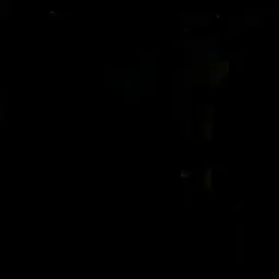 Sakwief