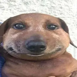 Завод