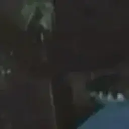 agdvadv