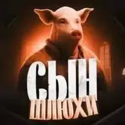 bilashoubihaido