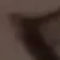 lofipropro