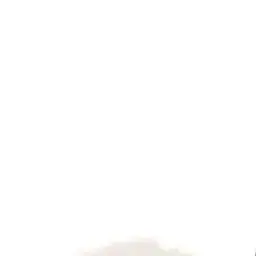 pls