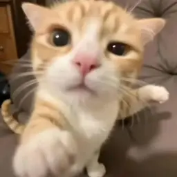 MathewTS