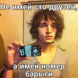 why028481
